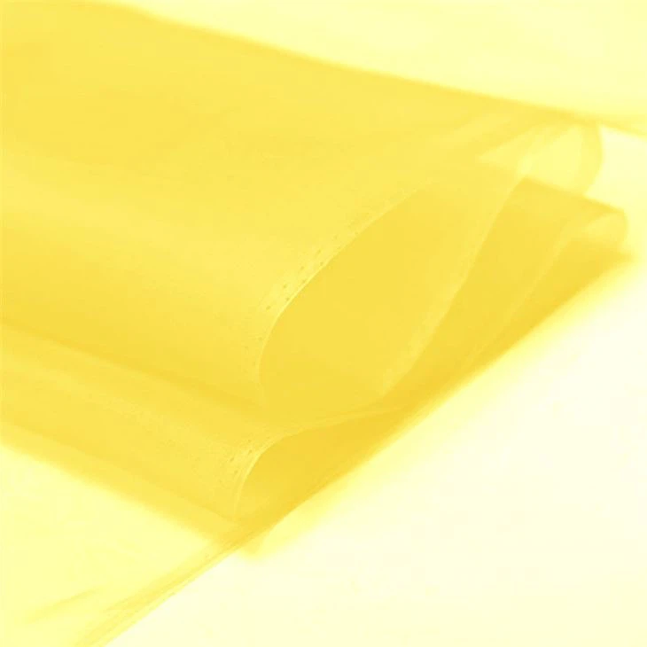 Raw Silk Organza Fabric 6mm